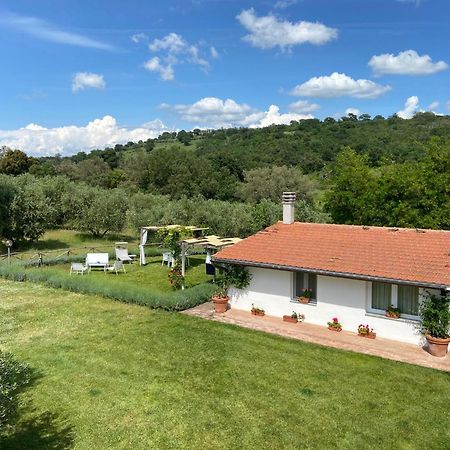 Tenuta Le Mandorlaie, Agriturismo In Scansano Exterior foto