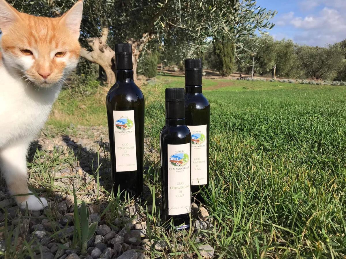 Tenuta Le Mandorlaie, Agriturismo In Scansano Exterior foto