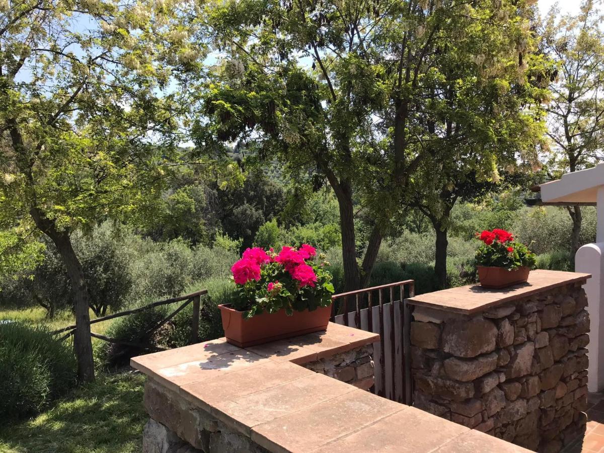 Tenuta Le Mandorlaie, Agriturismo In Scansano Exterior foto