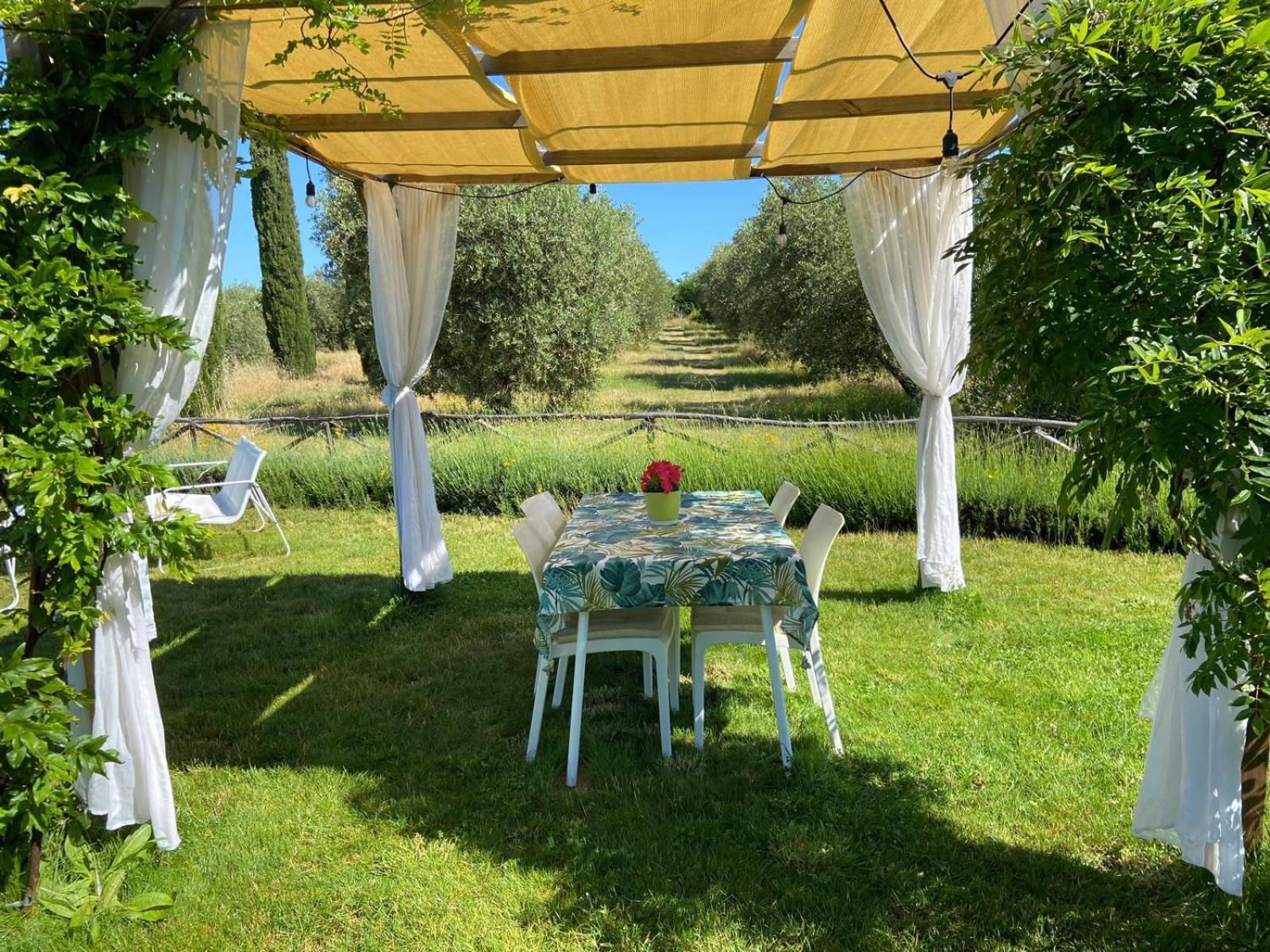 Tenuta Le Mandorlaie, Agriturismo In Scansano Exterior foto