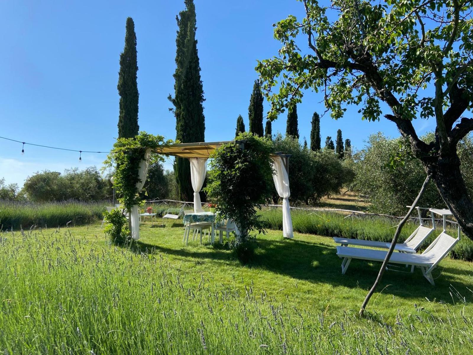 Tenuta Le Mandorlaie, Agriturismo In Scansano Exterior foto