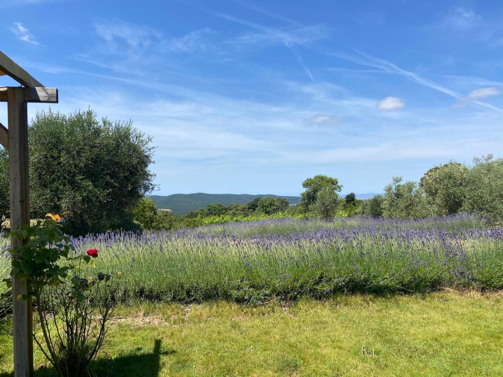 Tenuta Le Mandorlaie, Agriturismo In Scansano Exterior foto