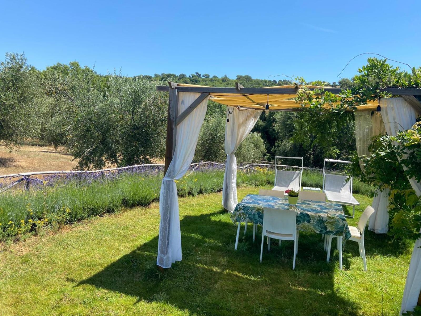 Tenuta Le Mandorlaie, Agriturismo In Scansano Exterior foto