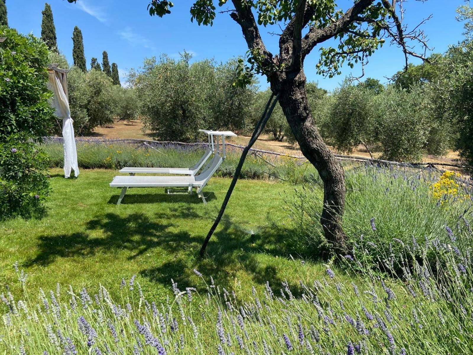 Tenuta Le Mandorlaie, Agriturismo In Scansano Exterior foto
